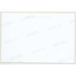 Lydia Nash / Bruxelles: Wood Logs VII (Vintage Photo Art 1992)