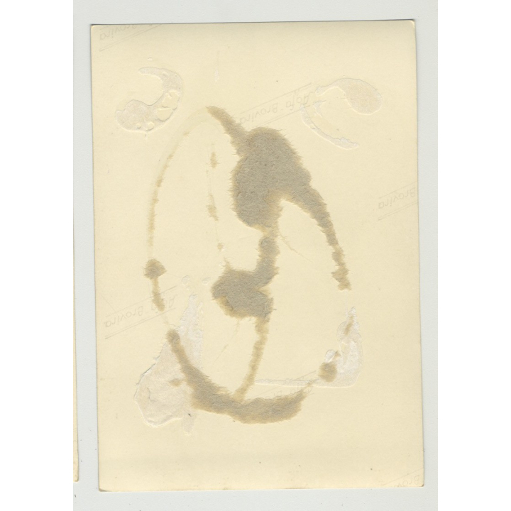 Nude Woman In Beach House Drinks Wine / Tan Lines - 50s Interior  (Vintage Amateur Photo 1950s)