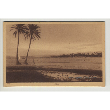 Lehnert & Landrock: Oasis With Palm Trees *178