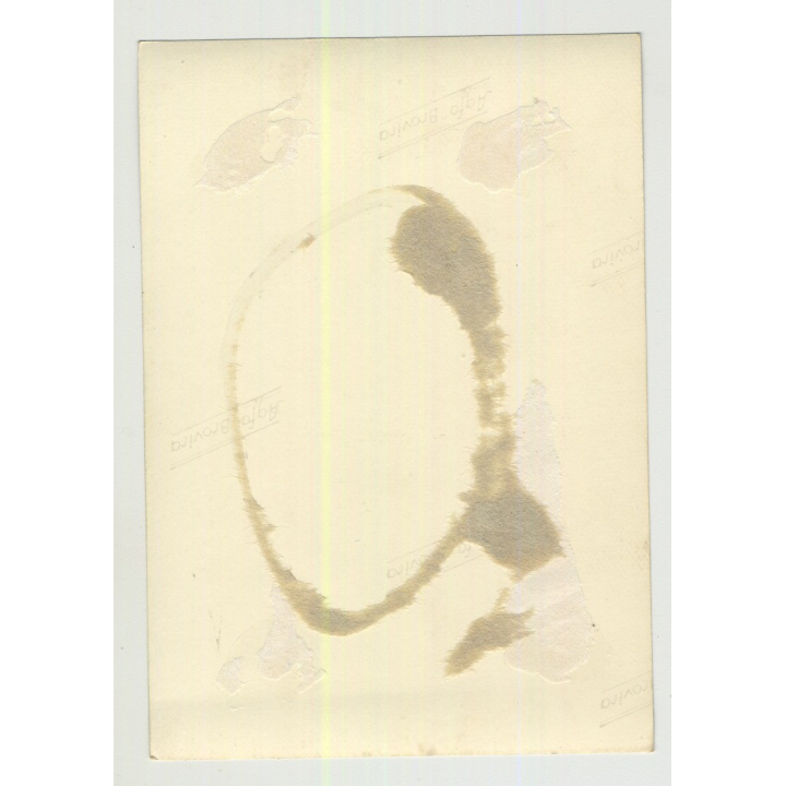 Mature Blonde Nude W. Tan Lines In Bambus House  (Vintage Amateur Photo 1950s)