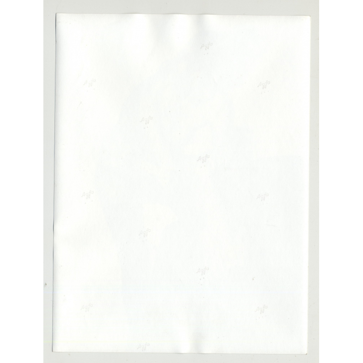 Pretty Topless Woman In Fancy Costume / Cuffs - Tights (Vintage Amateur Photo)