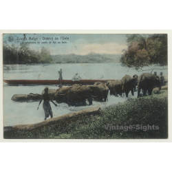 Haute Uele / Congo Belge: Éléphants Du Poste De Api Au Bain (Vintage PC 1909)
