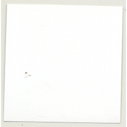 Darkhaired Female Beauty In Lacqueer *1 (Vintage Contact Sheet Photo 1970s)
