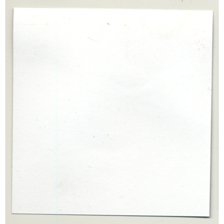 Sweet Blonde Woman *2 / Transparent Blouse - Boobs (Vintage Contact Sheet Photo 1970s)