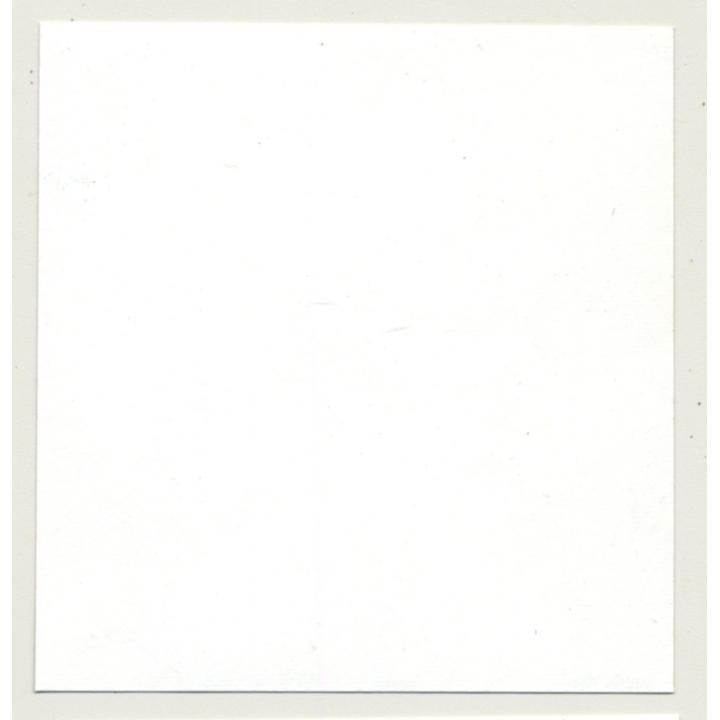 Lacquer Lady & Sweet Blonde *2 / Fetish - BDSM (Vintage Contact Sheet Photo 1970s)