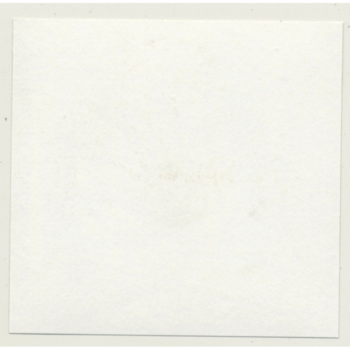 3 Lacquer Ladies *1 / Interior Design - Fetish - BDSM (Vintage Contact Sheet Photo 1970s)