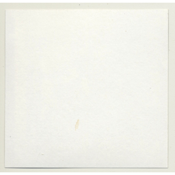 3 Lacquer Ladies *3 / Interior Design - Beauty Case - BDSM (Vintage Contact Sheet Photo 1970s)