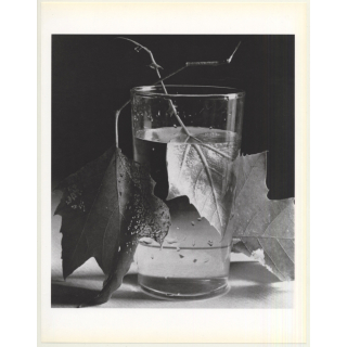 Horst P. Horst: Army Leaves 1944 (Sheet 1992: Form Horst 27 x 35.5 CM)