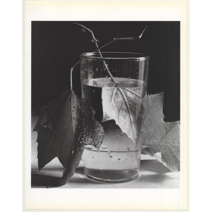Horst P. Horst: Army Leaves 1944 (Sheet 1992: Form Horst 27 x 35.5 CM)