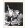 Horst P. Horst: Birthday Gloves 1947 (Sheet 1992: Form Horst 27 x 35.5 CM)