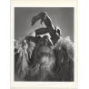 Horst P. Horst: Ophelia 1939 (Sheet 1992: Form Horst 27 x 35.5 CM)