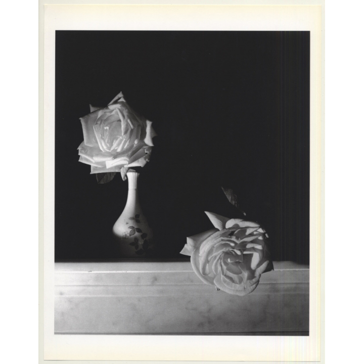 Horst P. Horst: White Roses 1989 (Sheet 1992: Form Horst 27 x 35.5 CM)