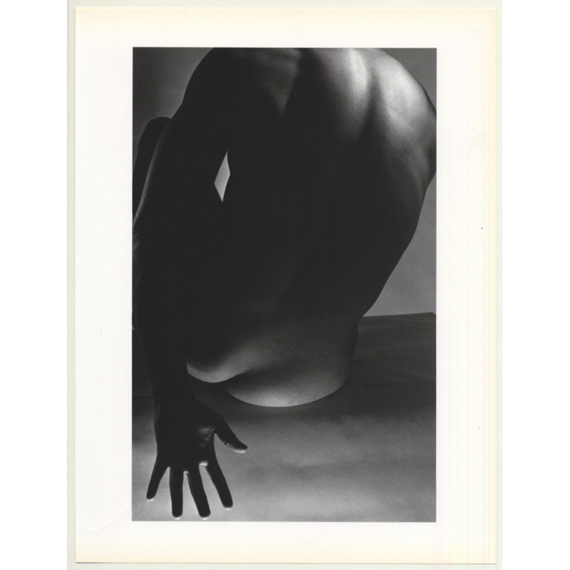Horst P. Horst: Bending Nude 1941 Gay INT (Sheet-Fed Gravure 1992: Form Horst 27 x 35.5 CM)