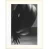 Horst P. Horst: Bending Nude 1941 Gay INT (Sheet-Fed Gravure 1992: Form Horst 27 x 35.5 CM)