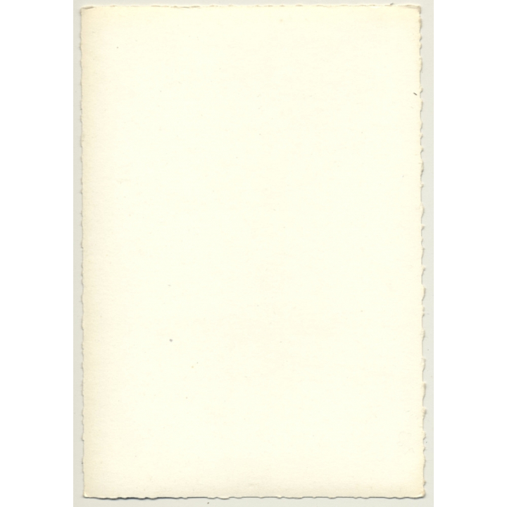 Brunette Semi Nude Woman On Tree Trunk / Pin-Up (Vintage Photo France 1950s)