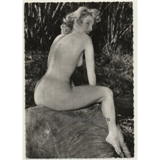 Racy Blonde Nude On Tree Trunk / Pin-Up (Vintage Photo France 1950s)