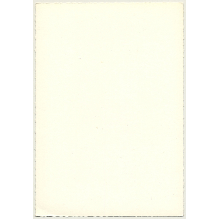 Racy Blonde Nude On Tree Trunk / Pin-Up (Vintage Photo France 1950s)