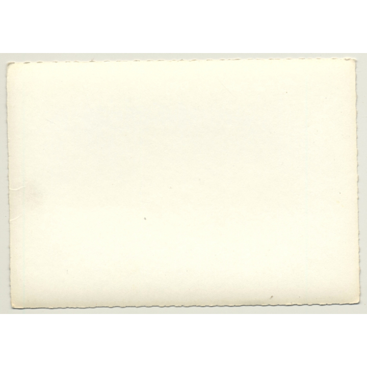 Busty Nude Beauty Relaxes On Blanket - Nature / Pin-Up (Vintage Photo France 1950s)