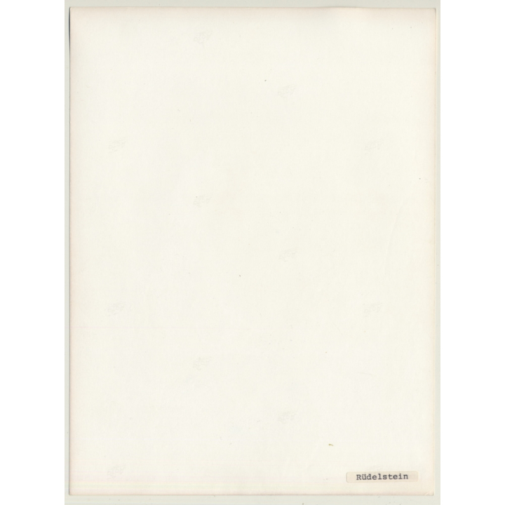 Experimental Erotic Art: Torso I (Vintage Photo 1980s)