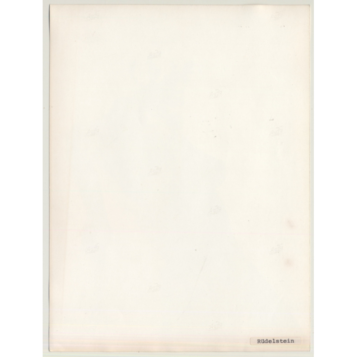 Experimental Erotic Art: Torso II (Vintage Photo 1980s)