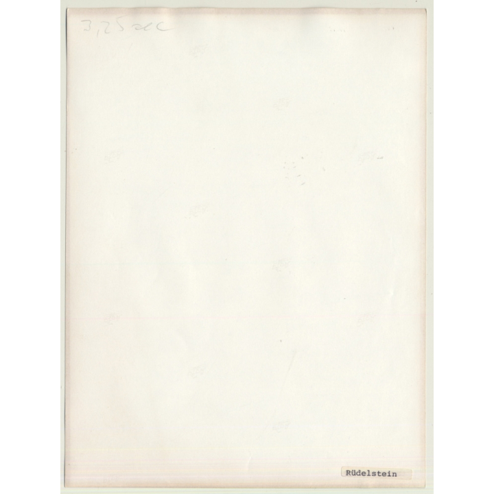 Experimental Erotic Art: Oh My Back! (Vintage Photo 1980s)