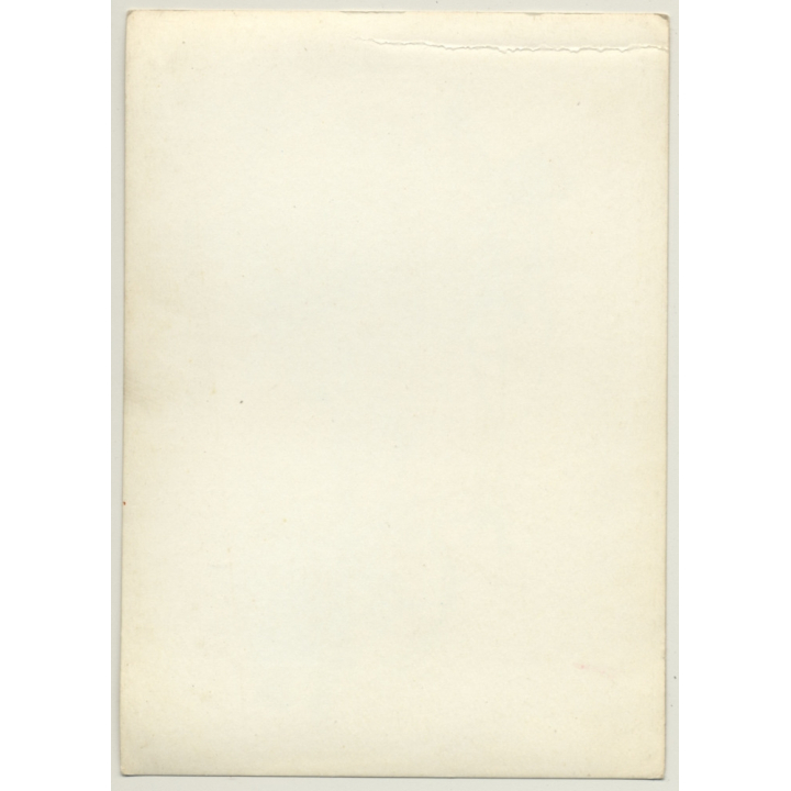 French BDSM Drawings *8 / Domina & Maids - Whip (Vintage Photo ~1930s)