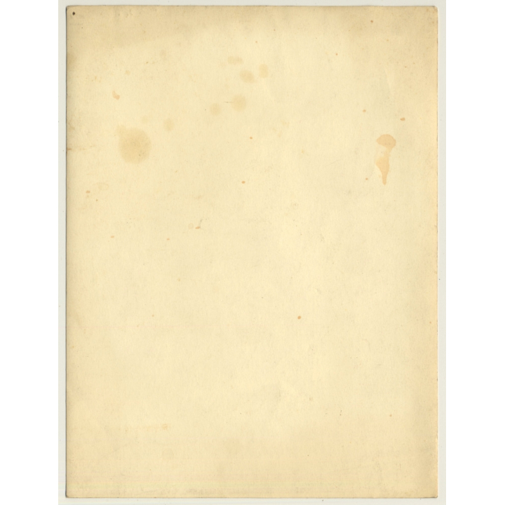 Antwerp: Freighter In Shipyard - Dock / Cranes (Vintage Photo 1940s/1950s)