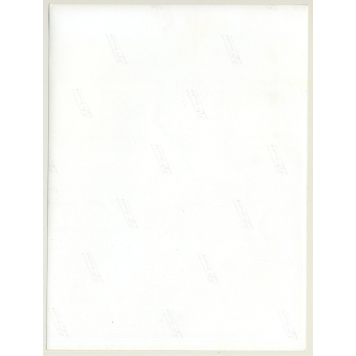 Petite Semi Nude Woman Wears Sexy Top / Brick Wall (Vintage Photo: Seufert ~1960s)