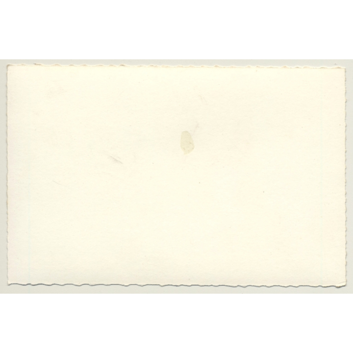 Hunting-Percival P-56 Provost / Royal Air Force (Vintage RPPC)