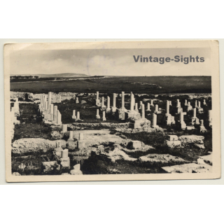 Carthage / Tunisia: Basilique De Damous el-Karita (Vintage RPPC 1949)