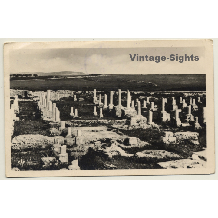 Carthage / Tunisia: Basilique De Damous el-Karita (Vintage RPPC 1949)