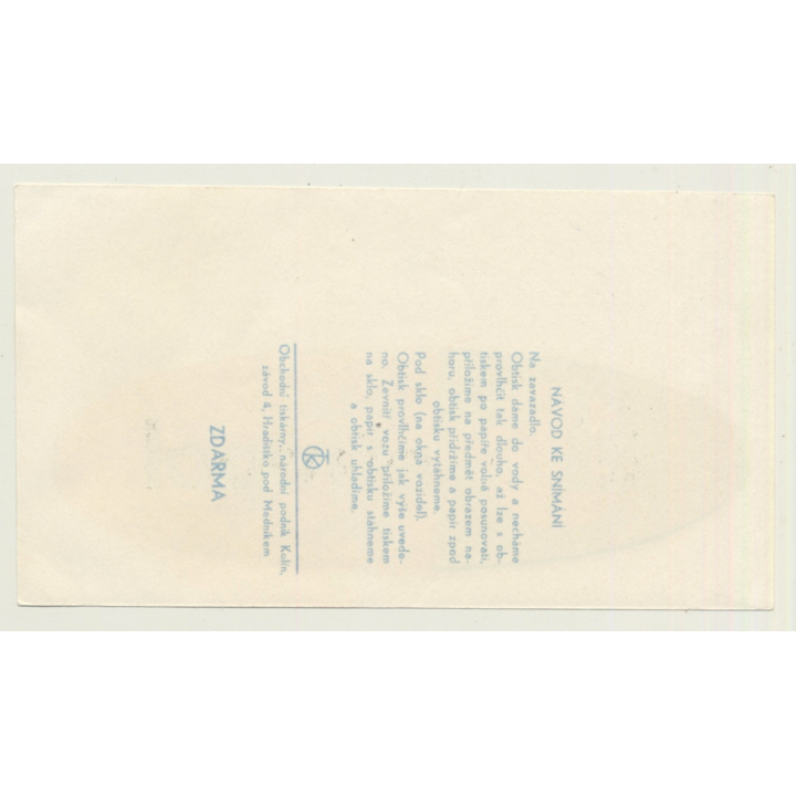 Brno / Czech Republic: Hotel Metropol (Vintage Roll On Luggage Label)