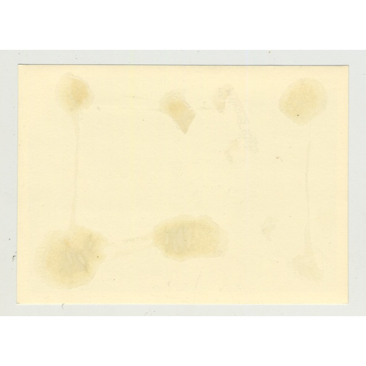 Ford Taunus 12M 15M On Tour: Driving Along (Vintage Photo 50s)