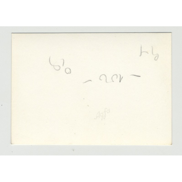 Ford Taunus 12M 15M: Wife Proudly Posing Next To Car (Vintage Photo 50s)