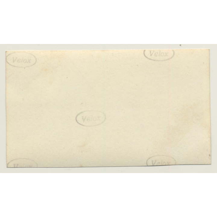 Elisabethville? /Congo-Belge: Large Colonial Delegation / Force Publique (Vintage Photo ~1920s/1930s)