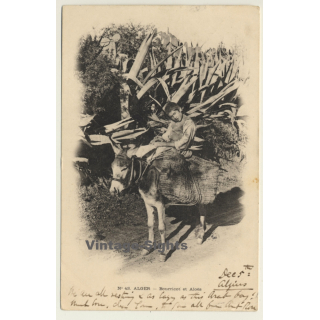 Algeria: Boy On Donkey - Bourricot El Aloès  (Vintage PC 1901)