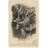 Algeria: Boy On Donkey - Bourricot El Aloès  (Vintage PC 1901)