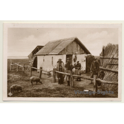 Hungary: In The Puszta / A Herdmen's House - Pigs (Vintage RPPC)