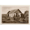Hungary: In The Puszta / A Herdmen's House - Pigs (Vintage RPPC)