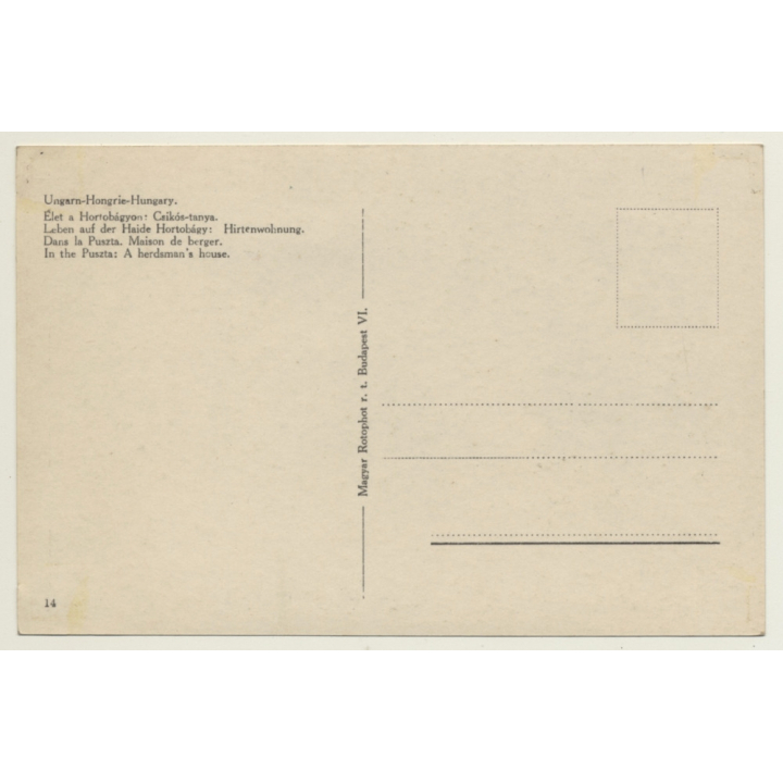 Hungary: In The Puszta / A Herdmen's House - Pigs (Vintage RPPC)