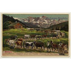 Sentum Alpe: Albfahrt / Away To The Alps - Cows (Vintage PC Litho Embossed)