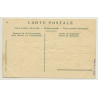 Sentum Alpe: Albfahrt / Away To The Alps - Cows (Vintage PC Litho Embossed)