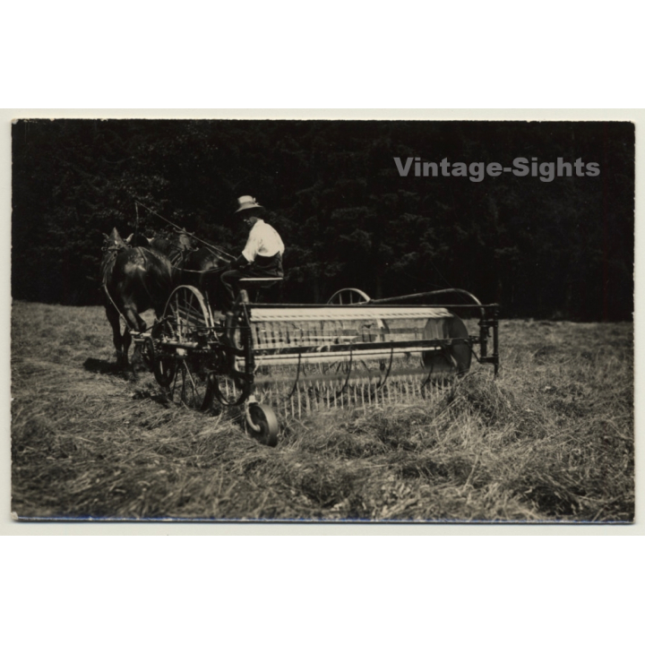 Horse Harvester / Pferde Mähdrescher (Vintage RPPC Leonar)
