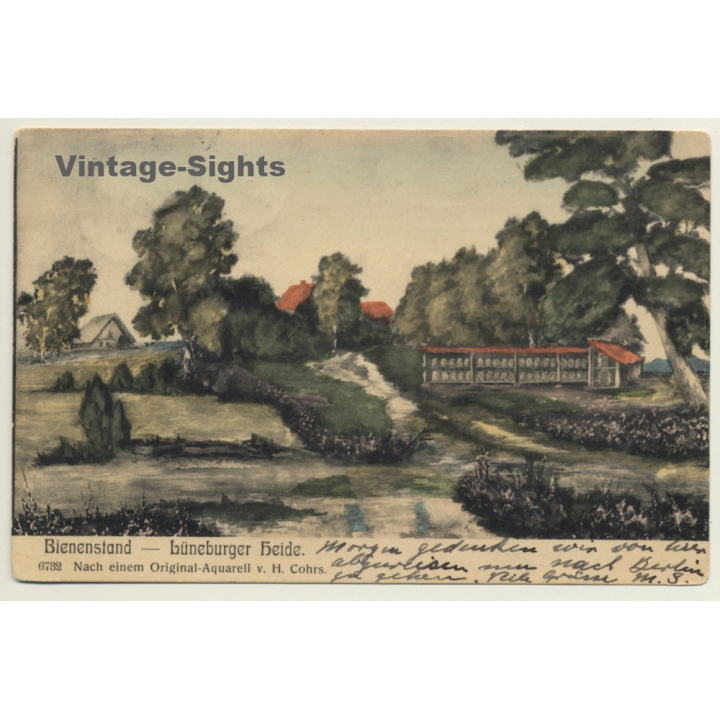 Lüneburger Heide / Germany: Bienenstand - Apiary - Rucher - Bees (Vintage PC 1909)
