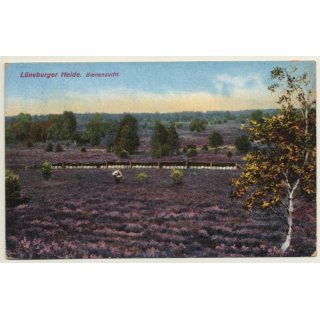 Lüneburger Heide / Germany: Bienenzucht - Beekeeping - Apiculture (Vintage PC)