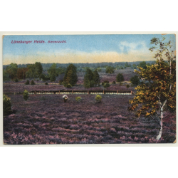 Lüneburger Heide / Germany: Bienenzucht - Beekeeping - Apiculture (Vintage PC)