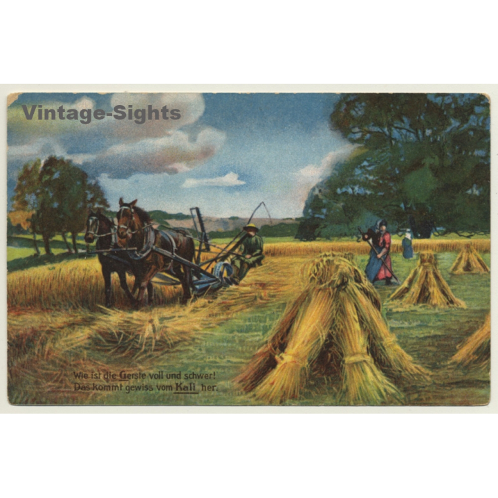 Germany: Horse Harvester / Pferde Mähdrescher - Kali (Vintage PC)