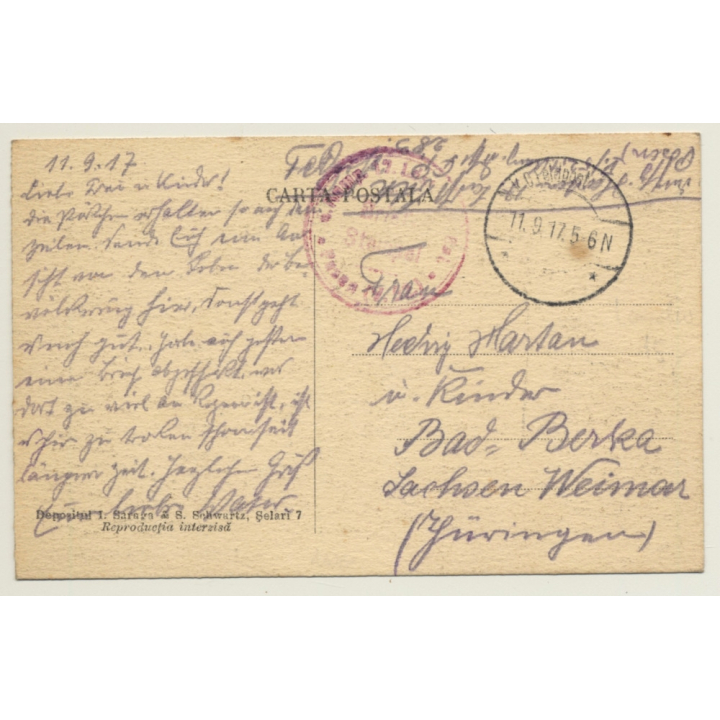 Romanian Farmers Grape Harvest (Vintage PC 1917)