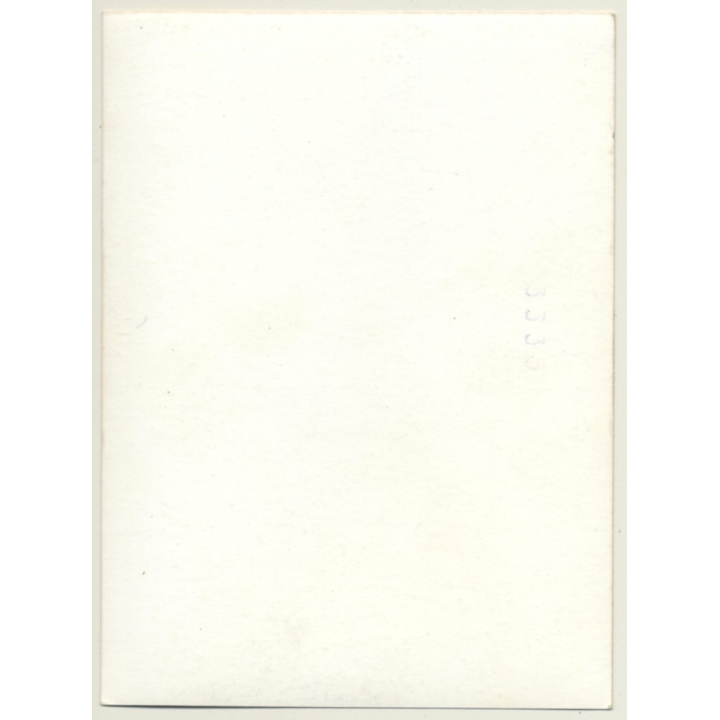 Pretty Darkhaired Nude In Lingerie / Suspenders (2nd Gen.Photo 1950s/1960s)