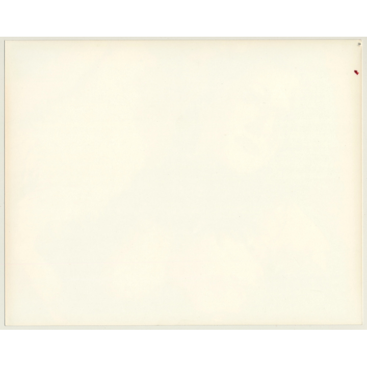 Topless Dreamy Showgirl / Feather Boa - Boobs (Vintage Photo 1980s)